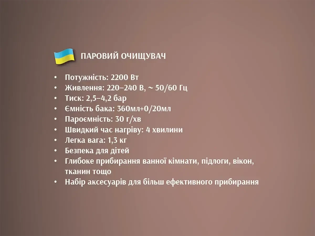 6585582137_parovij-ochischuvach-ruchnij.webp